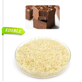 Halal grade wholesale factory bovine gelatin powder for food additive
